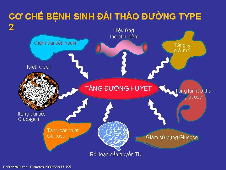 CƠ CHẾ BỆNH SINH ĐÁI THÁO ĐƯỜNG TYPE 2 Hiệu ứng Incretin giảm Giảm CƠ CHẾ BỆNH SINH ĐÁI THÁO ĐƯỜNG TYPE 2 Hiệu ứng Incretin giảm Giảm
