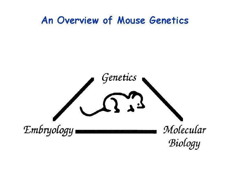 An Overview of Mouse Genetics 