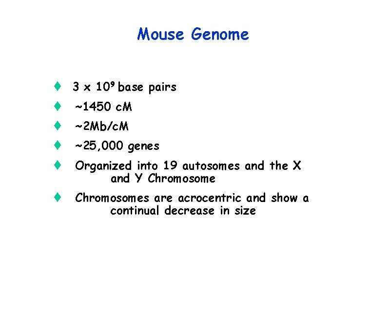 Mouse Genome t 3 x 109 base pairs t ~1450 c. M t ~2