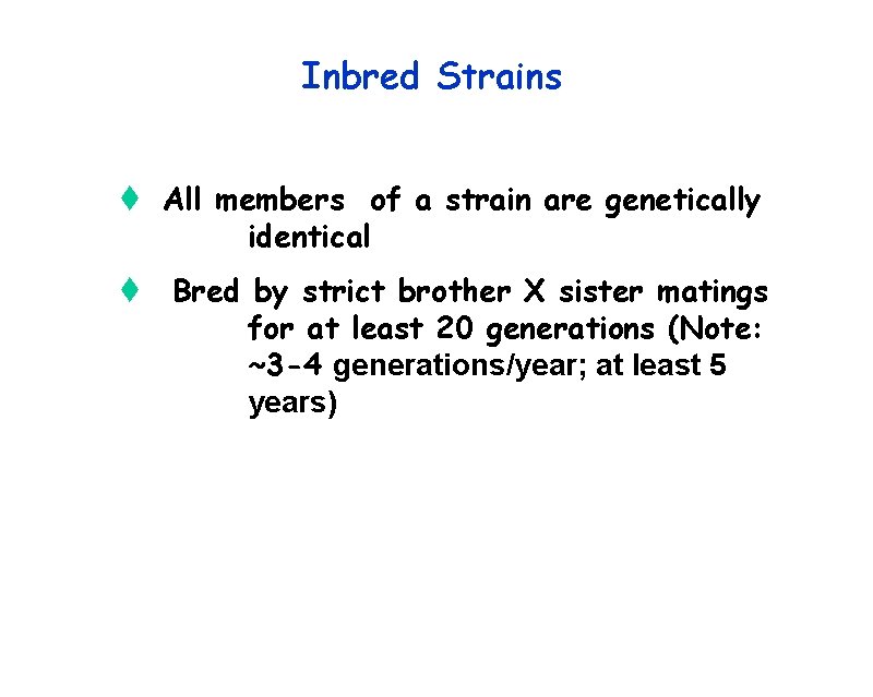 Inbred Strains t All members of a strain are genetically identical t Bred by