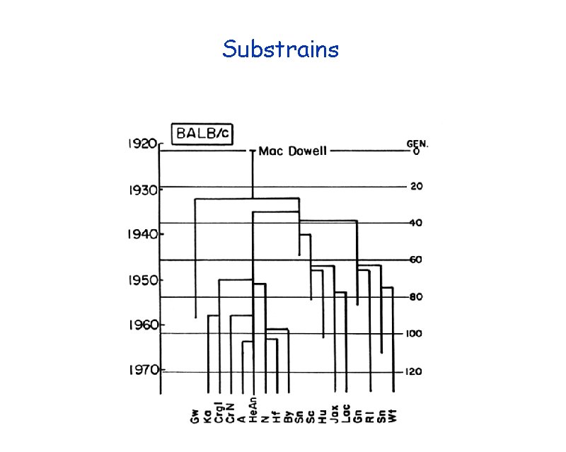 Substrains 