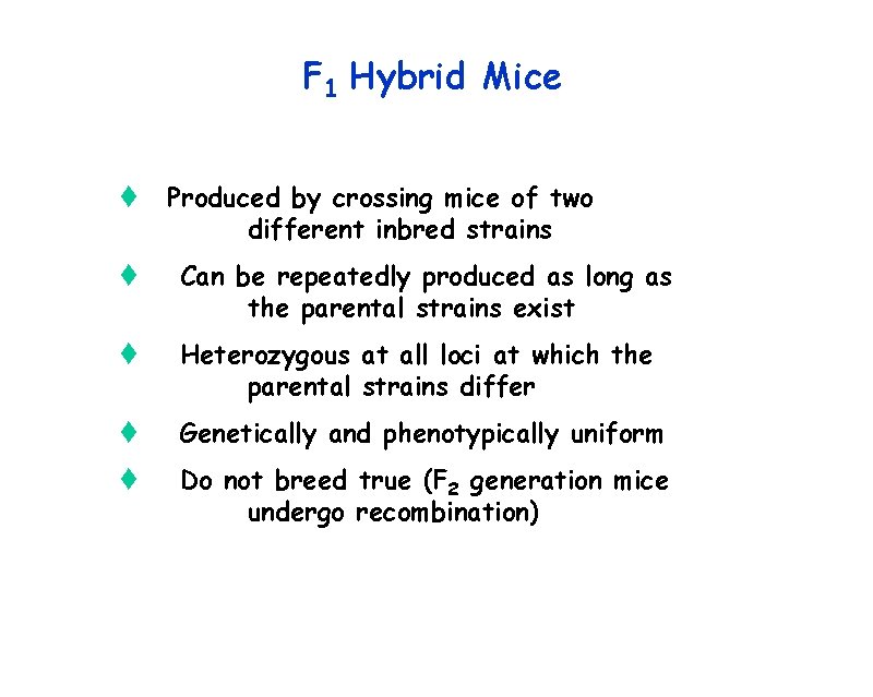 F 1 Hybrid Mice t Produced by crossing mice of two different inbred strains