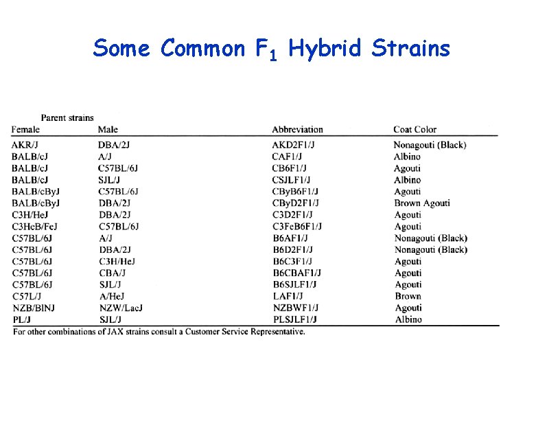 Some Common F 1 Hybrid Strains 