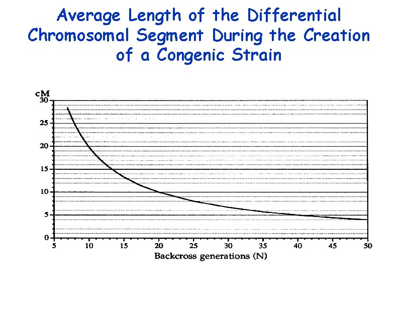 Average Length of the Differential Chromosomal Segment During the Creation of a Congenic Strain