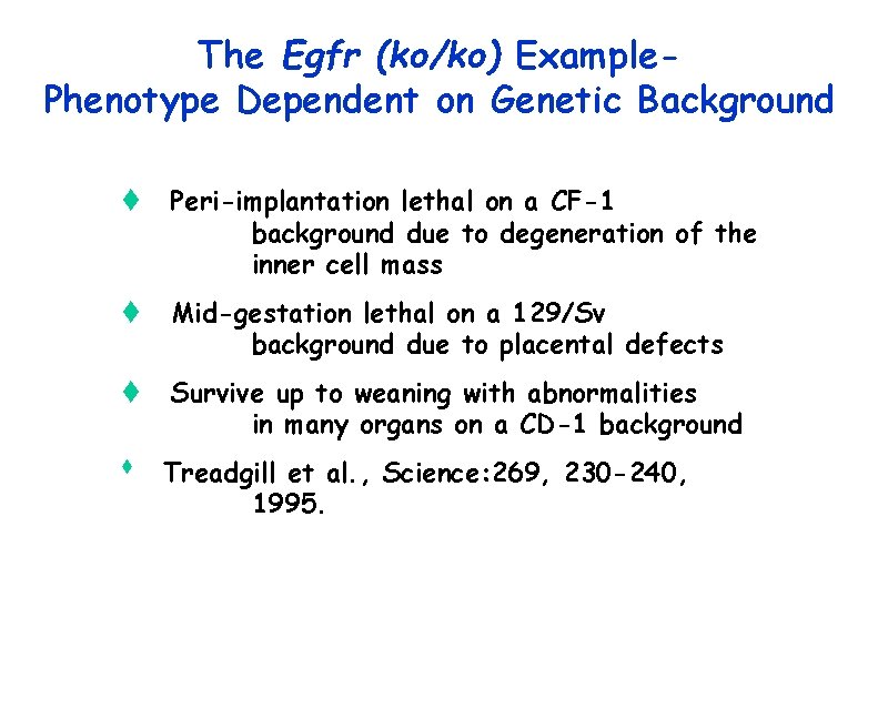 The Egfr (ko/ko) Example. Phenotype Dependent on Genetic Background t Peri-implantation lethal on a