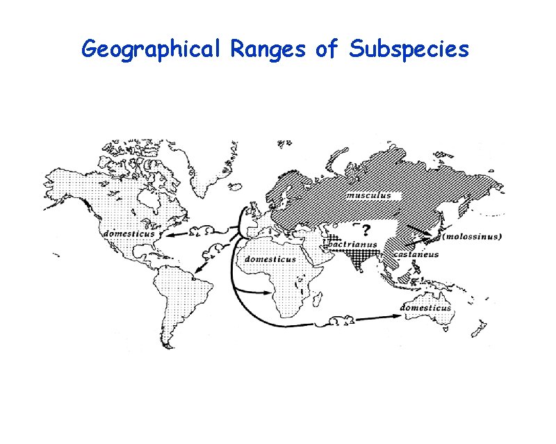 Geographical Ranges of Subspecies 
