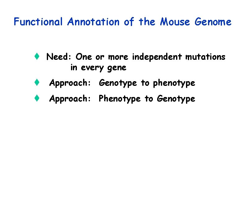 Functional Annotation of the Mouse Genome t Need: One or more independent mutations in