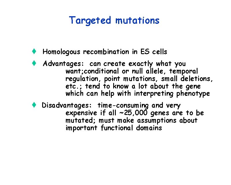 Targeted mutations t Homologous recombination in ES cells t Advantages: can create exactly what