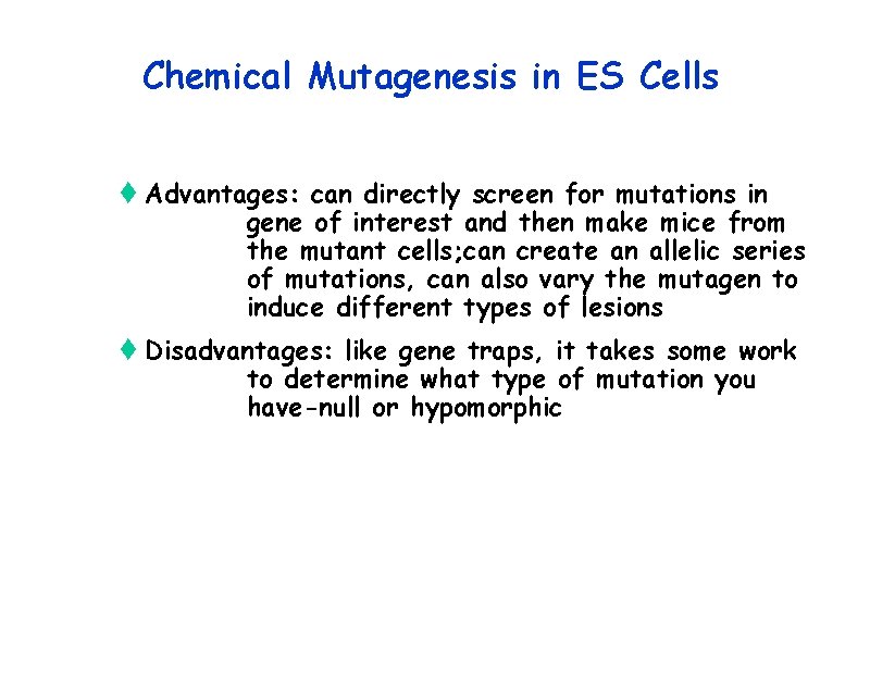 Chemical Mutagenesis in ES Cells t Advantages: can directly screen for mutations in gene