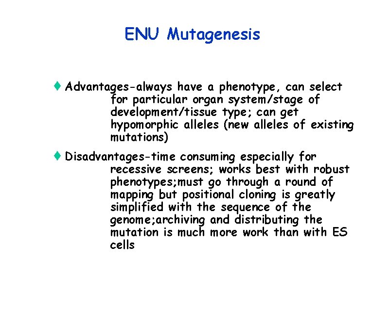 ENU Mutagenesis t Advantages-always have a phenotype, can select for particular organ system/stage of