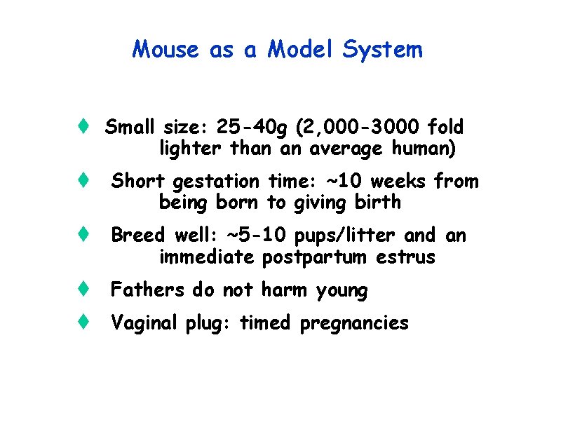 Mouse as a Model System t Small size: 25 -40 g (2, 000 -3000