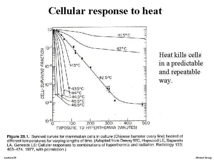 Cellular response to heat Heat kills cells in a predictable and repeatable way. Lecture