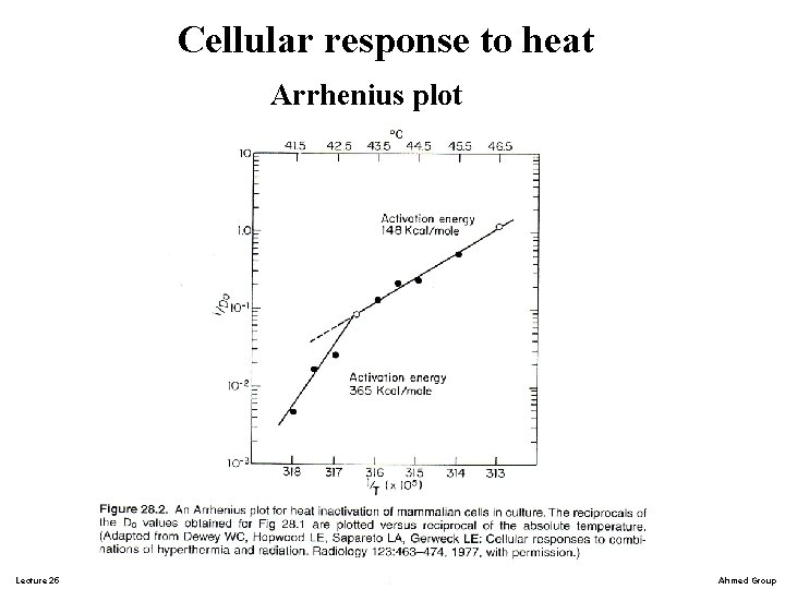 Cellular response to heat Arrhenius plot Lecture 25 Ahmed Group 