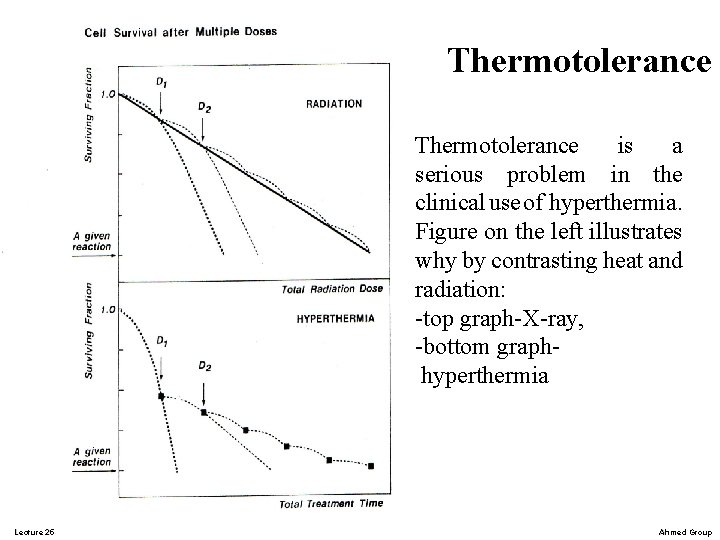 Thermotolerance is a serious problem in the clinical use of hyperthermia. Figure on the
