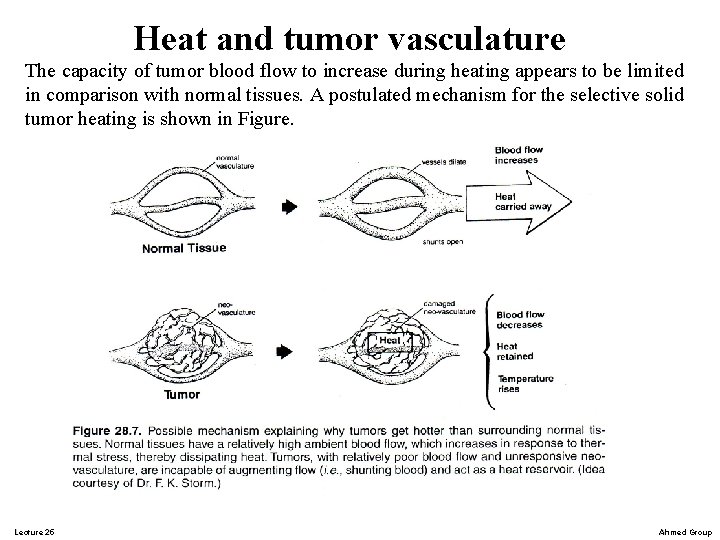 Heat and tumor vasculature The capacity of tumor blood flow to increase during heating