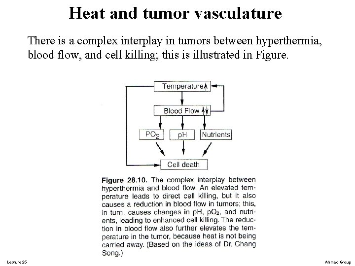 Heat and tumor vasculature There is a complex interplay in tumors between hyperthermia, blood