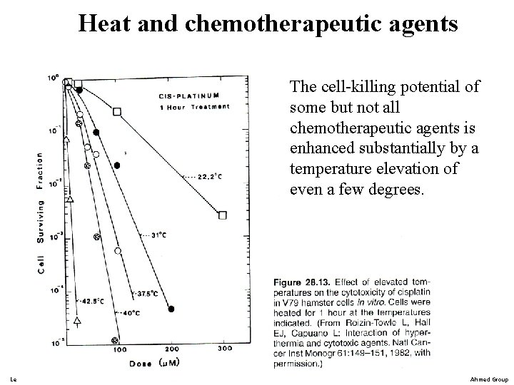 Heat and chemotherapeutic agents The cell-killing potential of some but not all chemotherapeutic agents