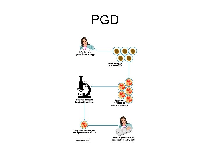 PGD 