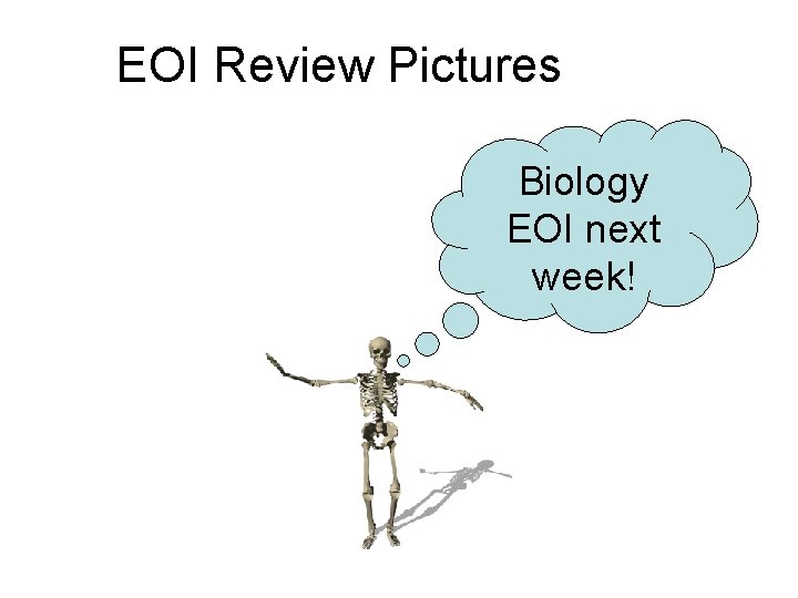 EOI Review Pictures Biology EOI next week! 