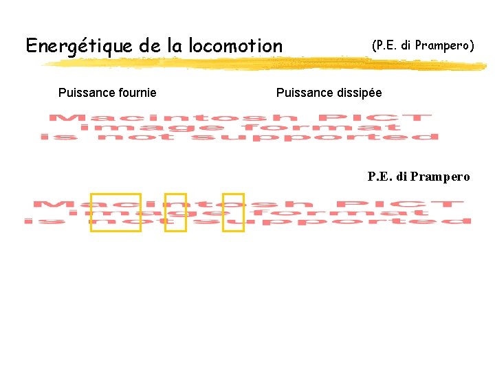 Energétique de la locomotion Puissance fournie (P. E. di Prampero) Puissance dissipée P. E.