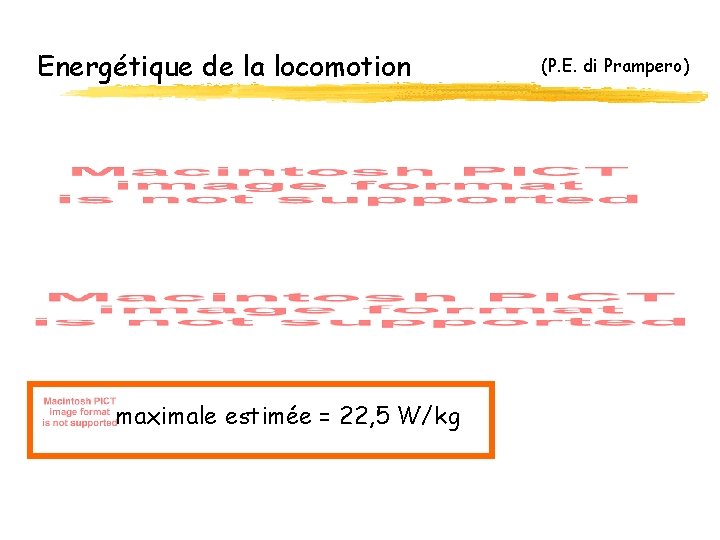 Energétique de la locomotion maximale estimée = 22, 5 W/kg (P. E. di Prampero)