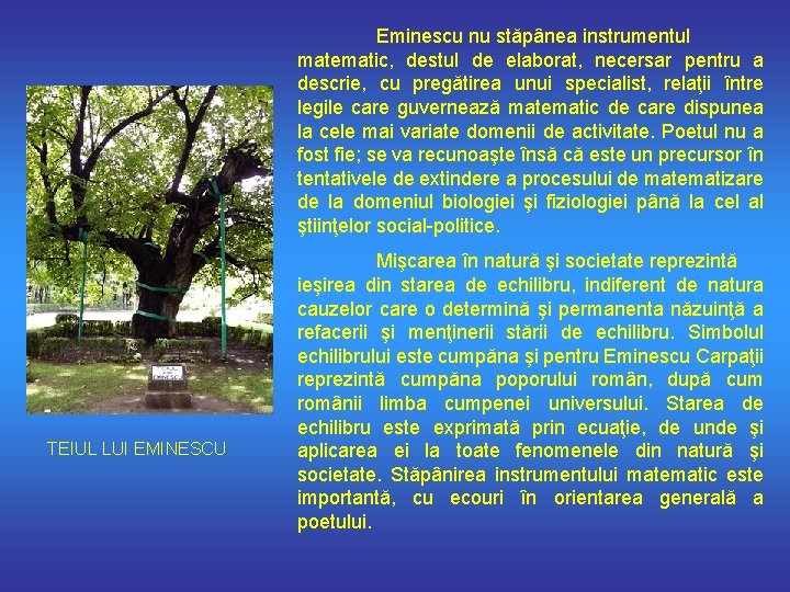 Eminescu nu stăpânea instrumentul matematic, destul de elaborat, necersar pentru a descrie, cu pregătirea