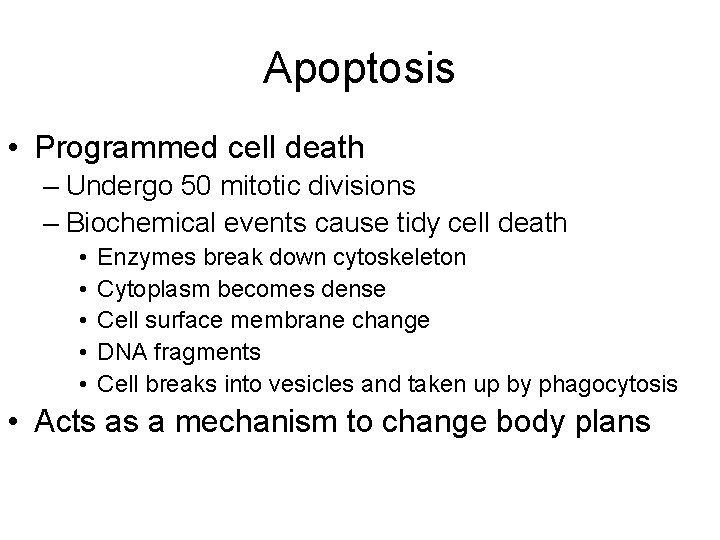 Apoptosis • Programmed cell death – Undergo 50 mitotic divisions – Biochemical events cause
