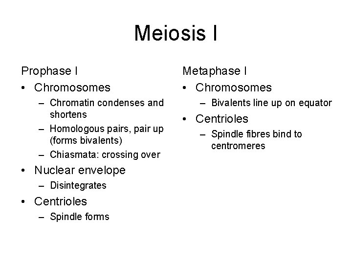 Meiosis I Prophase I • Chromosomes – Chromatin condenses and shortens – Homologous pairs,