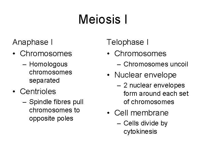Meiosis I Anaphase I • Chromosomes – Homologous chromosomes separated • Centrioles – Spindle
