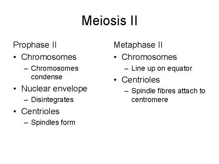 Meiosis II Prophase II • Chromosomes – Chromosomes condense • Nuclear envelope – Disintegrates