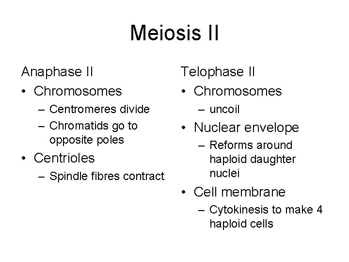 Meiosis II Anaphase II • Chromosomes – Centromeres divide – Chromatids go to opposite
