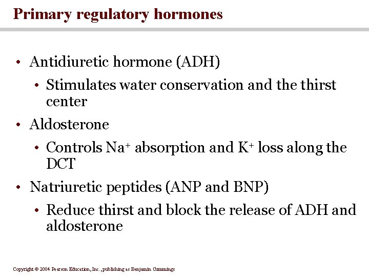 Primary regulatory hormones • Antidiuretic hormone (ADH) • Stimulates water conservation and the thirst