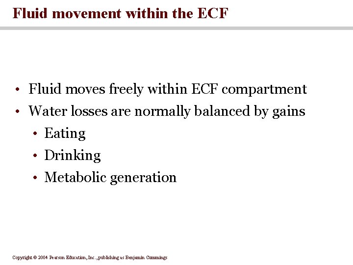 Fluid movement within the ECF • Fluid moves freely within ECF compartment • Water