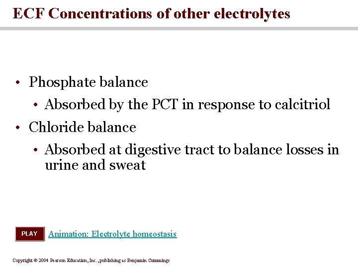 ECF Concentrations of other electrolytes • Phosphate balance • Absorbed by the PCT in