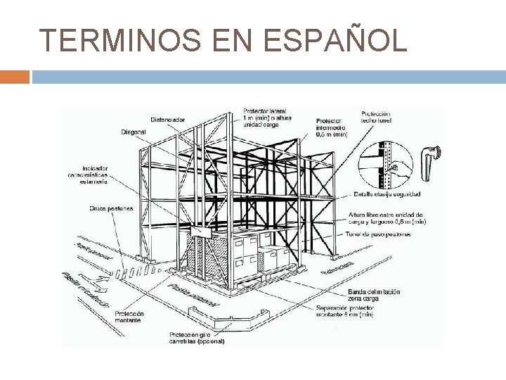 TERMINOS EN ESPAÑOL 