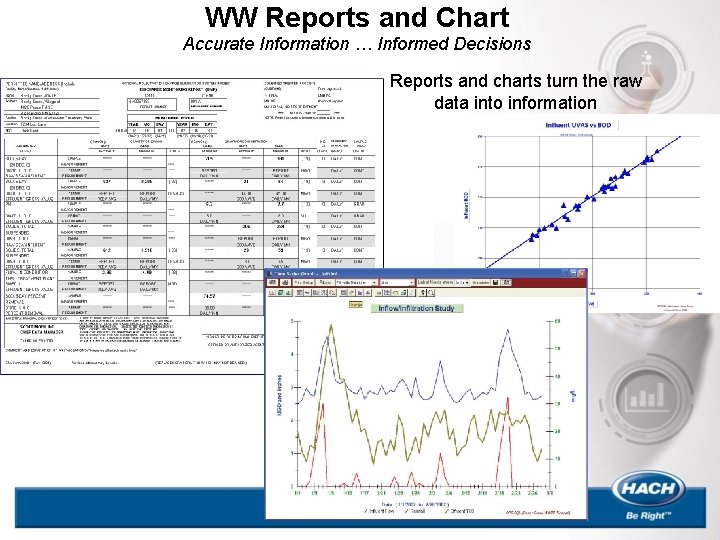 WW Reports and Chart Accurate Information … Informed Decisions Reports and charts turn the