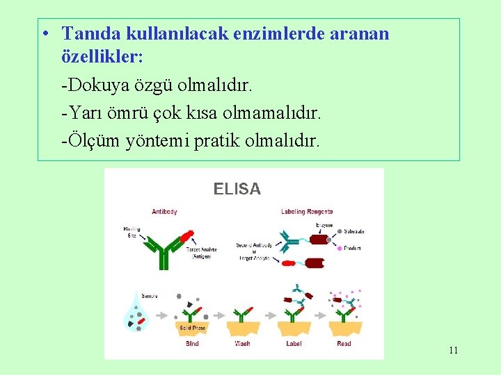  • Tanıda kullanılacak enzimlerde aranan özellikler: -Dokuya özgü olmalıdır. -Yarı ömrü çok kısa