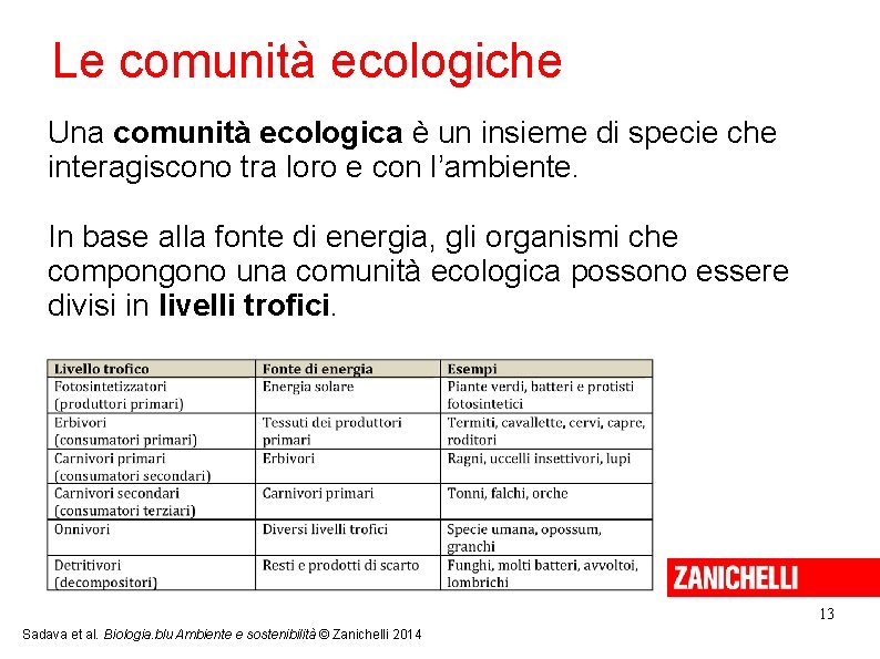 Le comunità ecologiche Una comunità ecologica è un insieme di specie che interagiscono tra