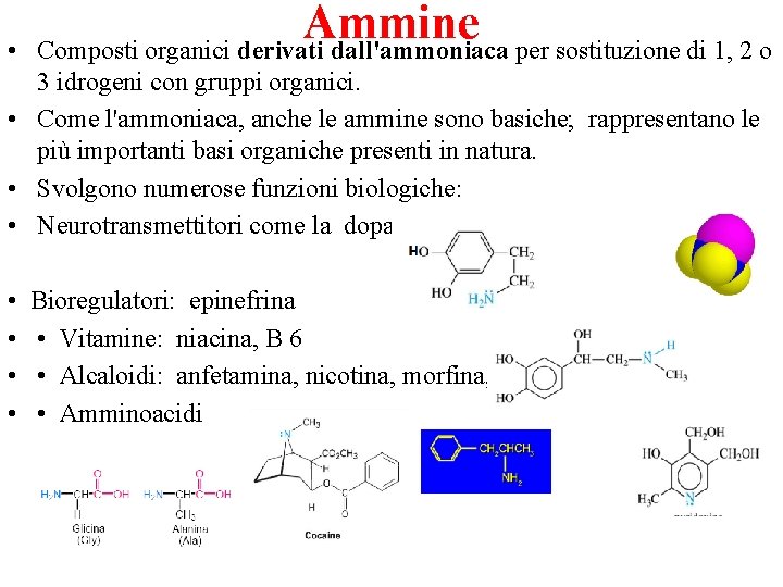  • Ammine Composti organici derivati dall'ammoniaca per sostituzione di 1, 2 o 3