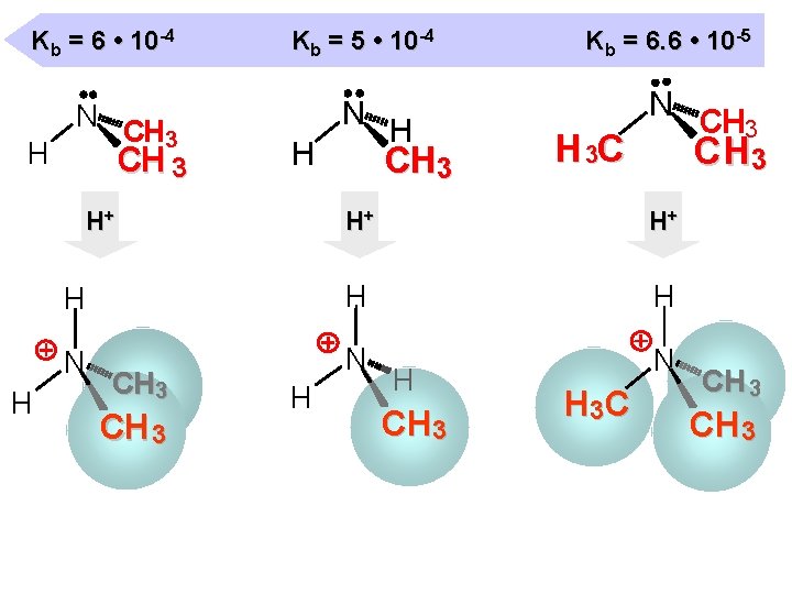 Kb = 6 • 10 -4 N CH 3 H CH 3 Kb =