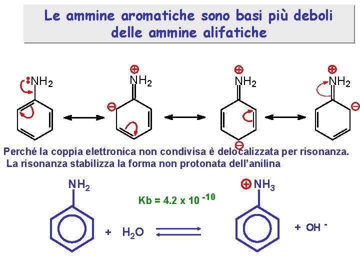 Le ammine aromatiche sono basi più deboli delle ammine alifatiche NH 2 Perché la
