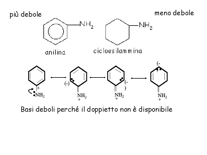 meno debole più debole () + NH 2 () (-) NH 2 + Basi
