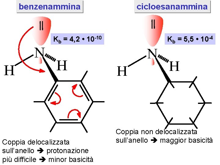 benzenammina N H cicloesanammina Kb = 4, 2 • 10 -10 H Coppia delocalizzata