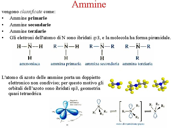 Ammine vengono classificate come: • Ammine primarie • Ammine secondarie • Ammine terziarie •