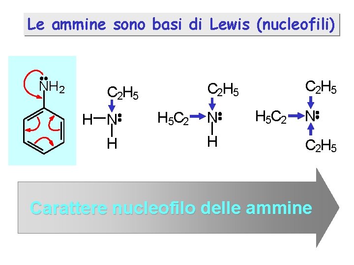 Le ammine sono basi di Lewis (nucleofili) NH 2 H N H C 2