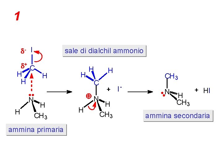 1 d- I sale di dialchil ammonio d+ C H H H N H