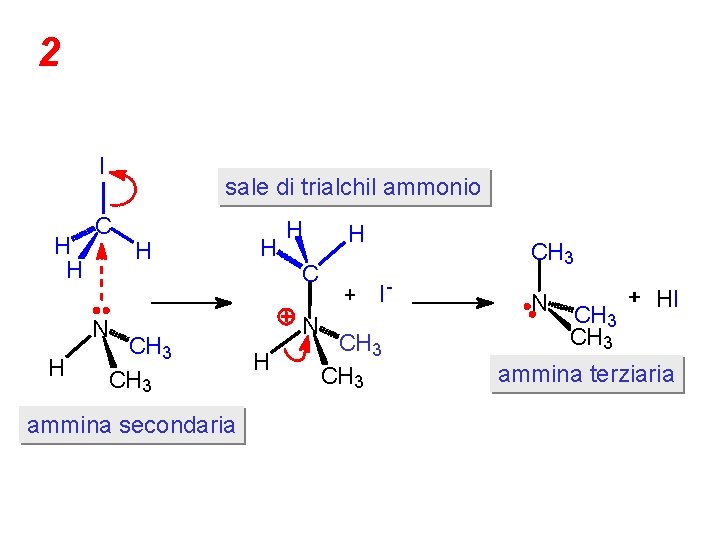 2 I H H C N H sale di trialchil ammonio H CH 3
