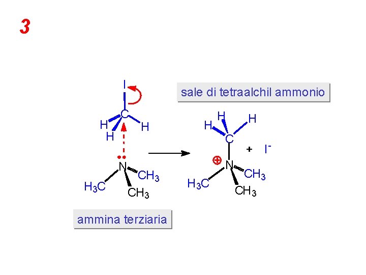 3 I H H C N H 3 C sale di tetraalchil ammonio H