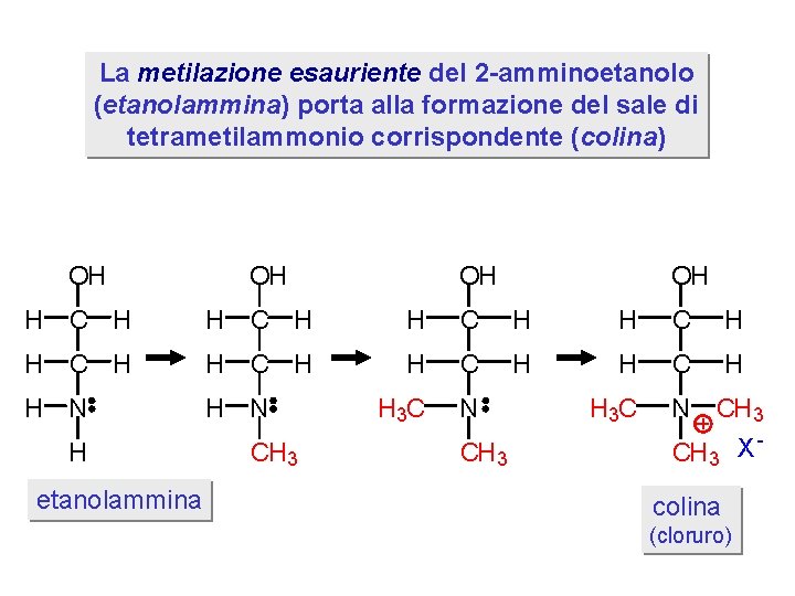 La metilazione esauriente del 2 -amminoetanolo (etanolammina) porta alla formazione del sale di tetrametilammonio