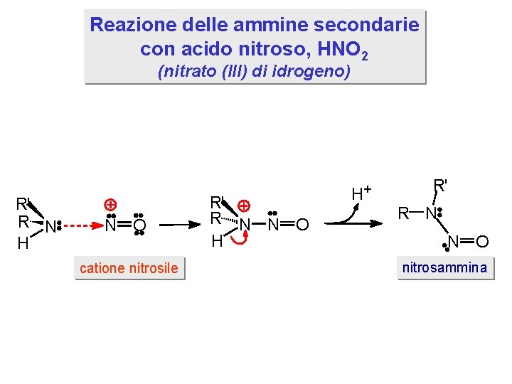 Reazione delle ammine secondarie con acido nitroso, HNO 2 (nitrato (III) di idrogeno) R'